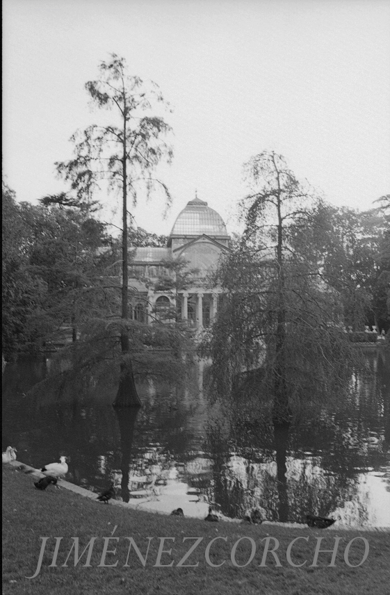 PALACIO   DE   CRISTAL