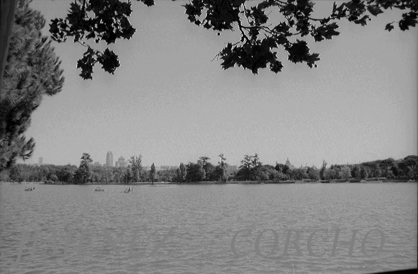 VISTAS DEL   LAGO DE LA CASA DE CAMPO