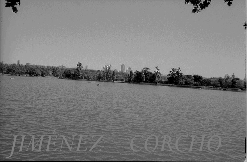 VISTAS DEL   LAGO DE LA CASA DE CAMPO