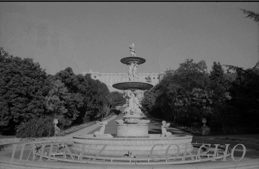 FUENTE DEL   CAMPO DEL MORO